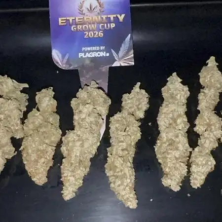 Eternity Grow 🏆 Micro Grow