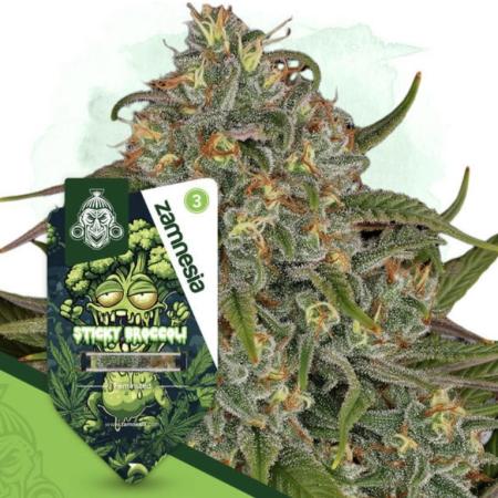 Eternity Grow 🏆 Micro Grow