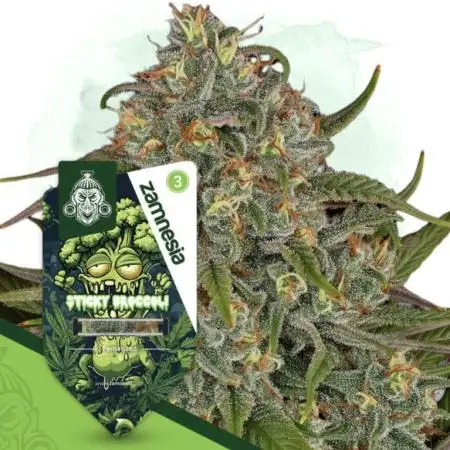 Eternity Grow 🏆 Micro Grow