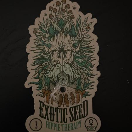 Hippy Therapy - Exotic Seeds