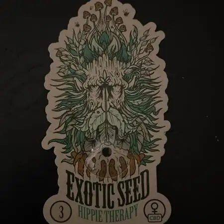 Hippie Therapie - Exotic Seeds
