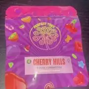 Cherry Hills 🍒⛰️
