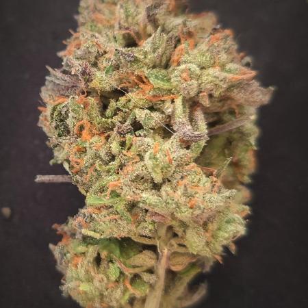 14-14 Blue Zushi L.E. "Grower Choice"