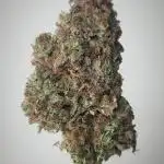 Hyperion F1 Auto "RQS"