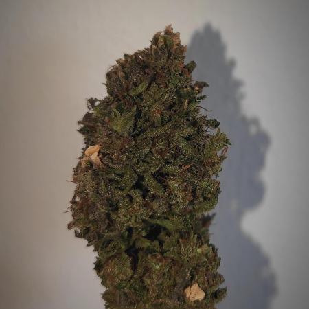 14-14 Amnesia Fast CBD "GB Strains" FEM