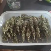 14/14 CRITICAL FEM "GB STRAINS"