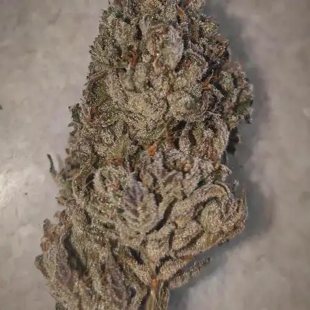 Papaya Zoap Auto "Sweet Seeds"