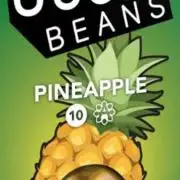 Sensi-FatBeans Pineapple Automatic