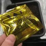 Frost Factory by Mephisto genetics