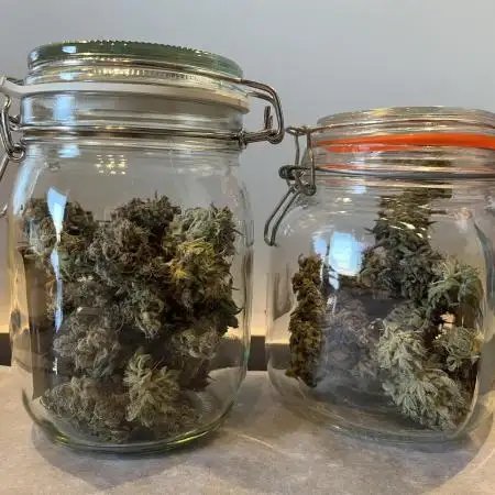 Forgotten Cookies by Mephisto