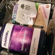 #4 Milky Way F1 & Girl Scout Cookies