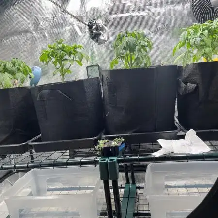 Leveling Up: My 2nd Grow