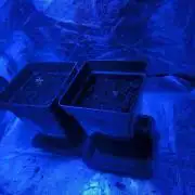 Space Cookies, Puch pie