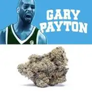 Gary Payton by Cookies / Jungle Cut