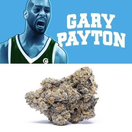 Gary Payton by Cookies / Jungle Cut
