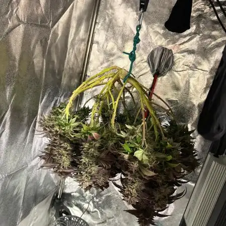 Great crops only grow where the dirt knows its worth!