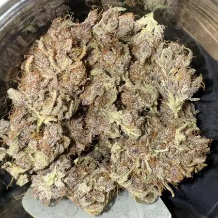 Lemon Cherry Cookies Auto - 42FastBuds