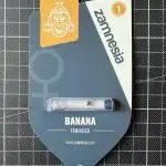 Banana 🍌 by Zamnesia