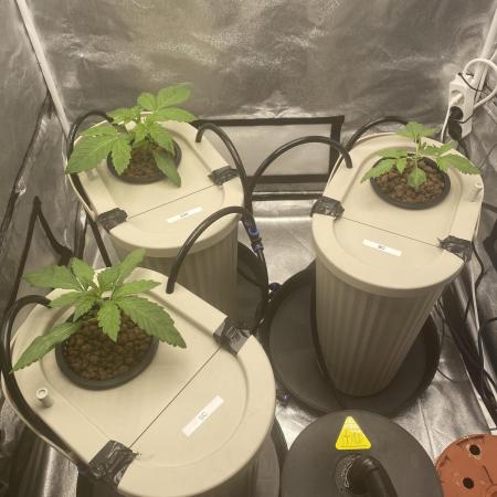 DWC Hydro SC BC 24K