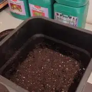 Gary Payton von Farmbros 