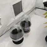 #8 Sour Fruit Tartare