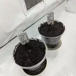 #8 Sour Fruit Tartare