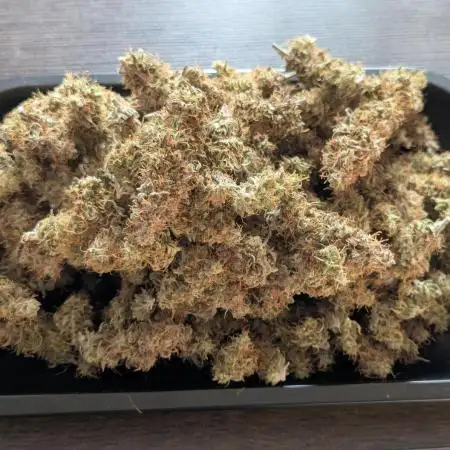 Super Boof feat. Auto Euforia