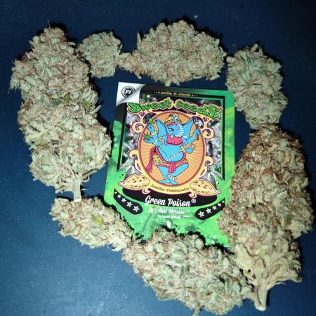 Green poison