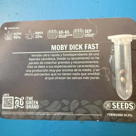 Moby Dick fast