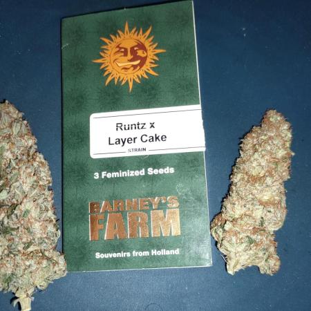 RUNTZ x LAYER CAKE