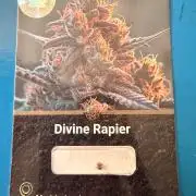 Divine Rapier
