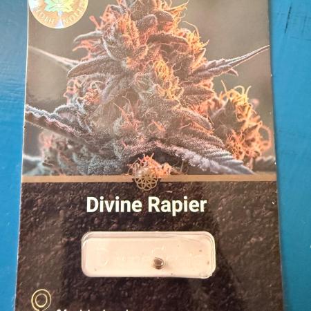 Divine Rapier