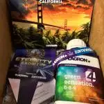 Eternity grow cup 2025