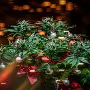 Lemon Cherry Cookies Auto Fast Buds