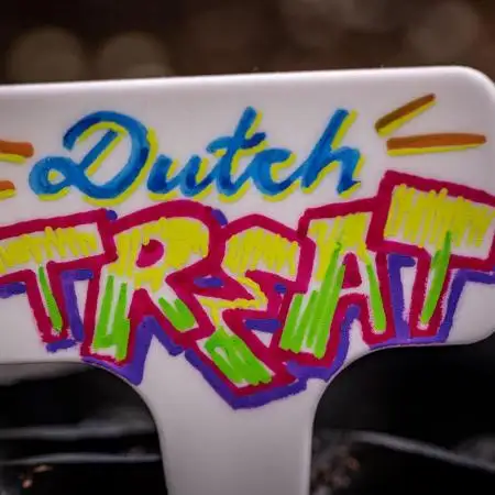 Dutch Treat Auto Zamnesia Seeds
