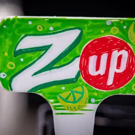 Z-UP Fast Buds Indoor