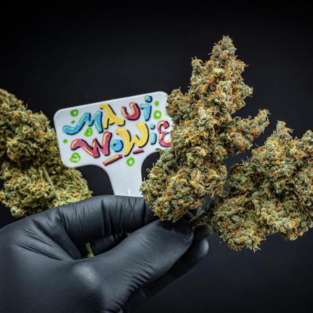 Maui Wowie Autoflower Seeds