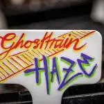 Ghost Train Haze Autoflower Zamnesia