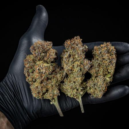 Lemon Cherry Cookies Auto Fast Buds