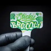 Sticky Broccoli Zamnesia EternityGrowCup