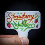 Strawberry Zkittlez Auto Ganja Farmer