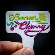 Lemon Cherry Cookies Auto Fast Buds