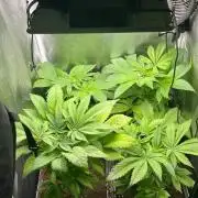 Deep Chunk Indoor Repro