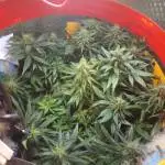 Kd auto