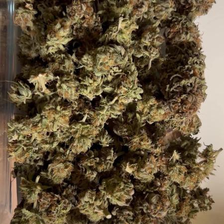 Strawberry banana Auto/Royal Queen Seeds Mimosa auto
