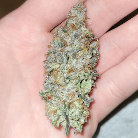 Fillmore Slim - PCG - My First Report :)