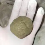 Lets grow some Honey (Runtz) Hash :)