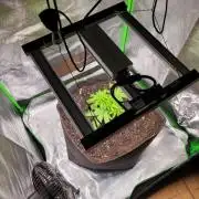 Cheri x Lurpe Test RUN