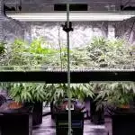 SpaceBar 640 LED Grow 