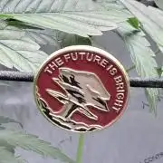 Grape Gas (Compound x Cannarado) #2